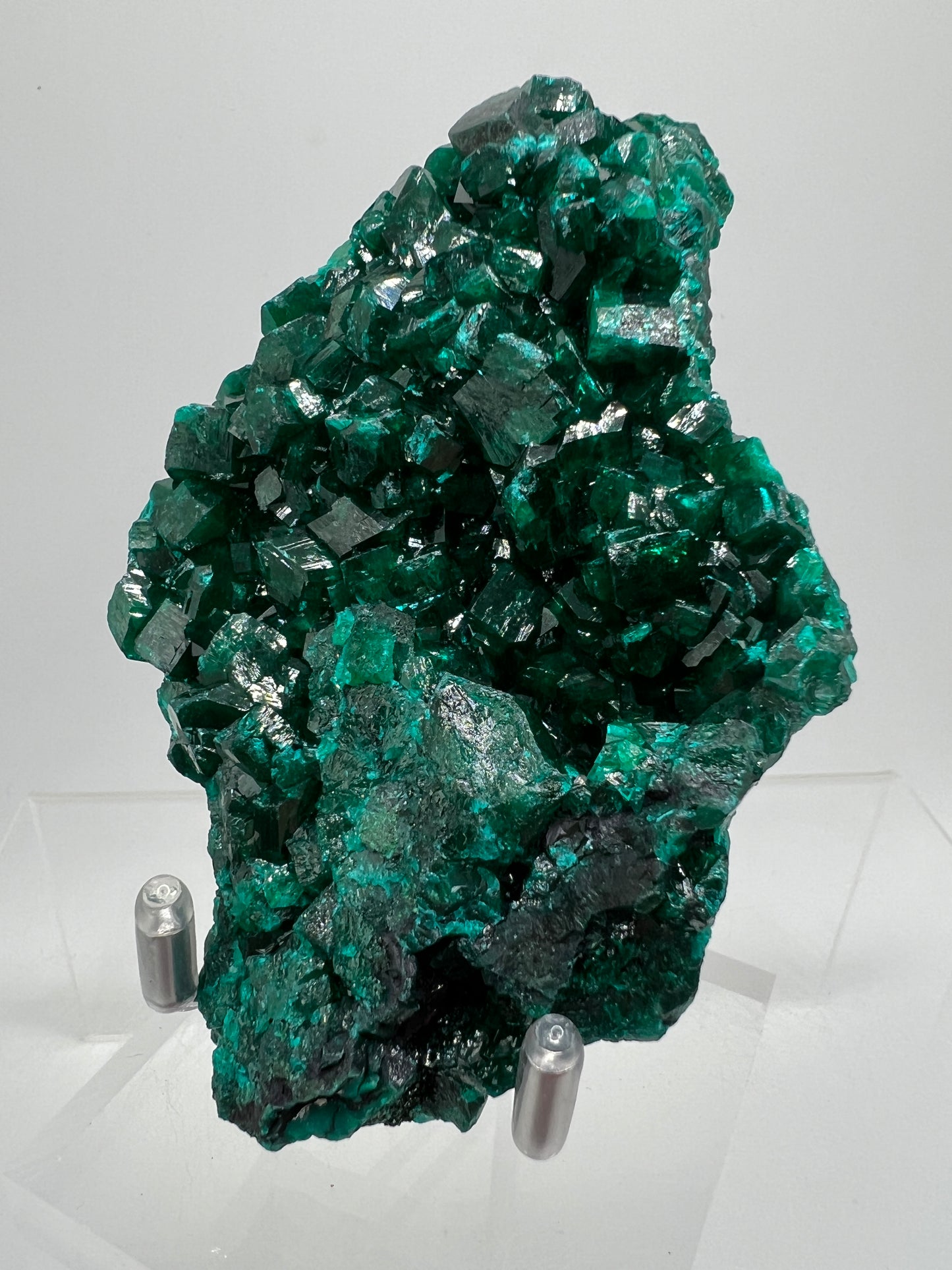 Dioptase Crystal Specimen. High Quality Mineral From The Congo. Gorgeous Colors And Cubes.