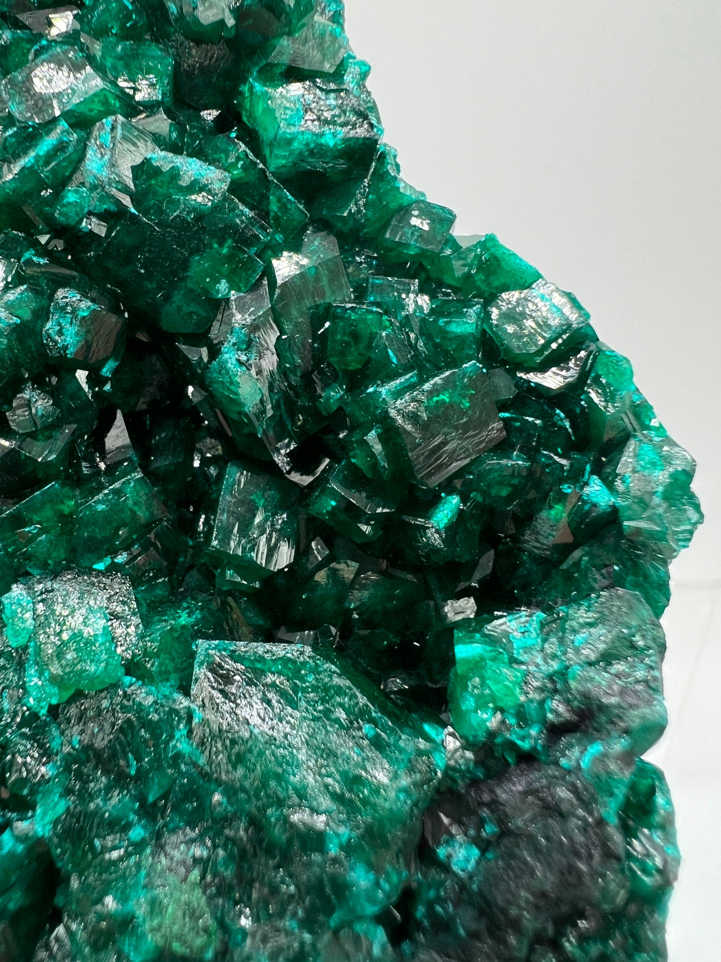 Dioptase Crystal Specimen. High Quality Mineral From The Congo. Gorgeous Colors And Cubes.
