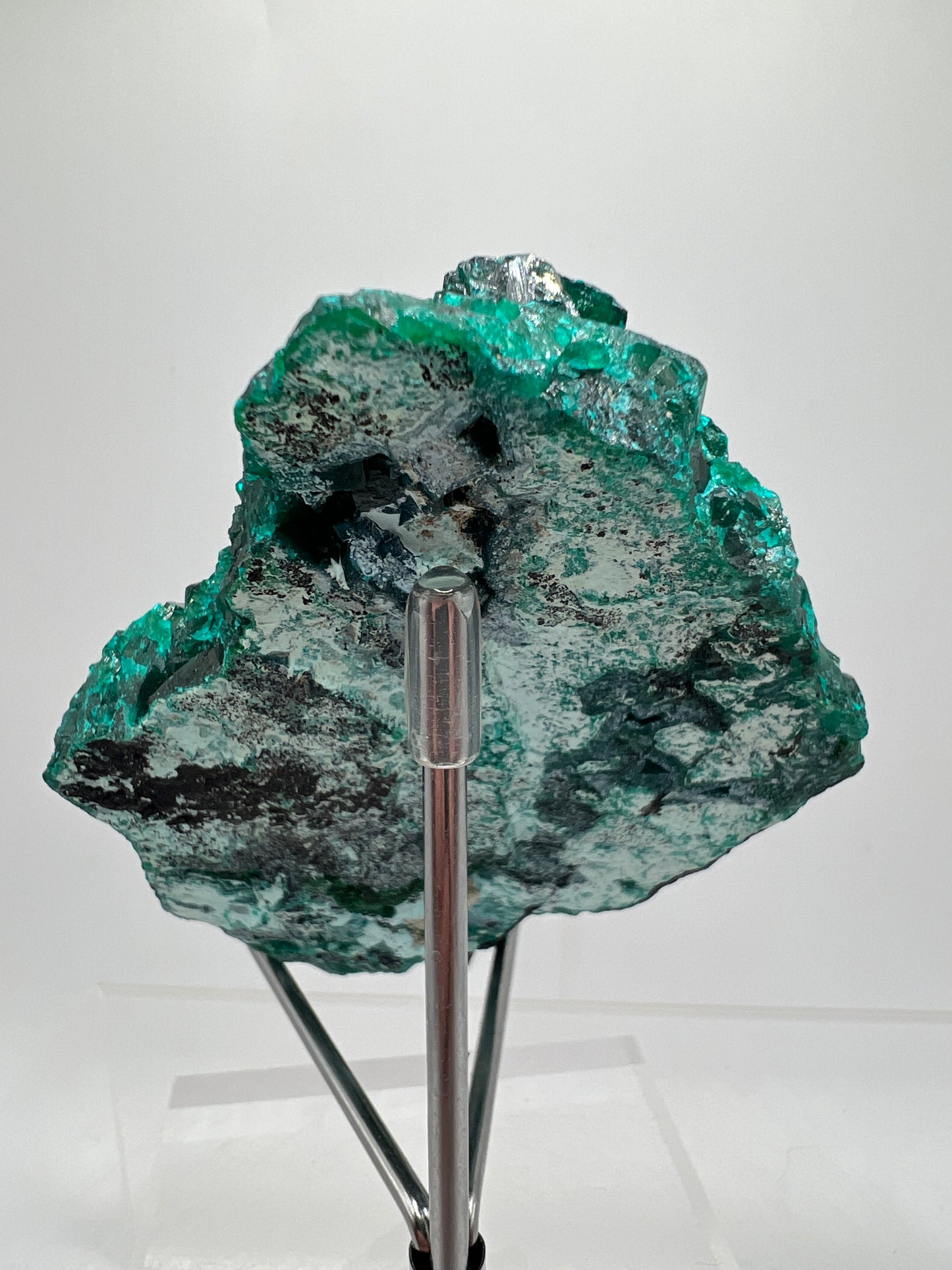Dioptase Crystal Specimen. High Quality Mineral From The Congo. Gorgeous Colors And Cubes.