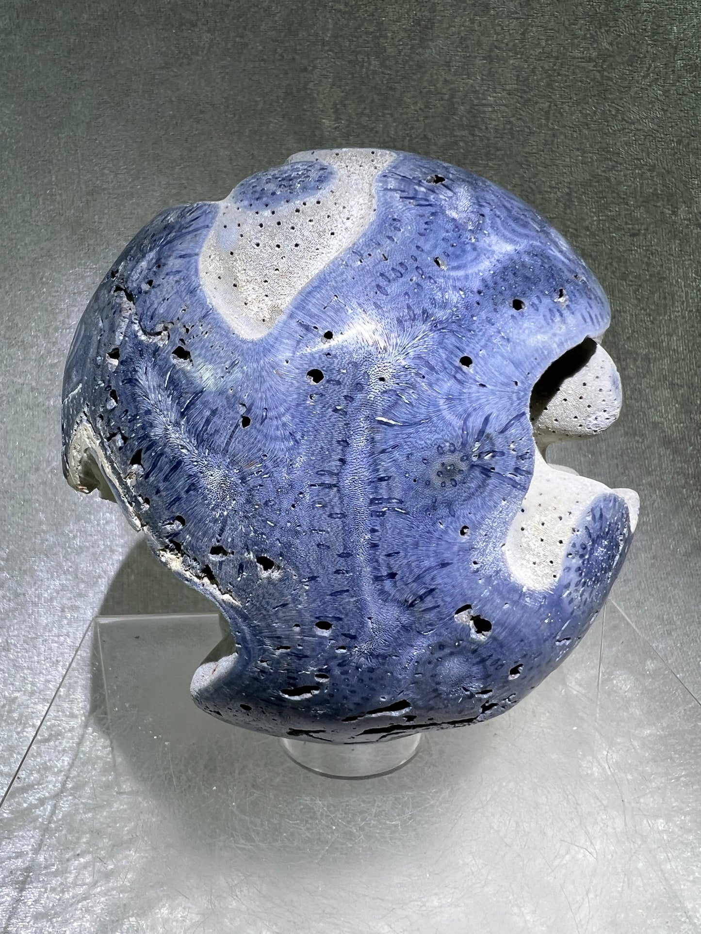 Blue Coral Sphere. Huge 108mm! Amazing Fossilized Heliopora Coerulea. Gorgeous Blue Ridge Coral Centerpiece Display Sphere