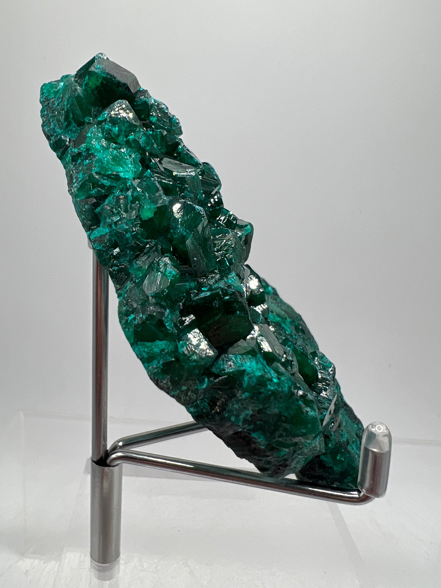 Dioptase Crystal Specimen. High Quality Mineral From The Congo. Gorgeous Colors And Cubes.