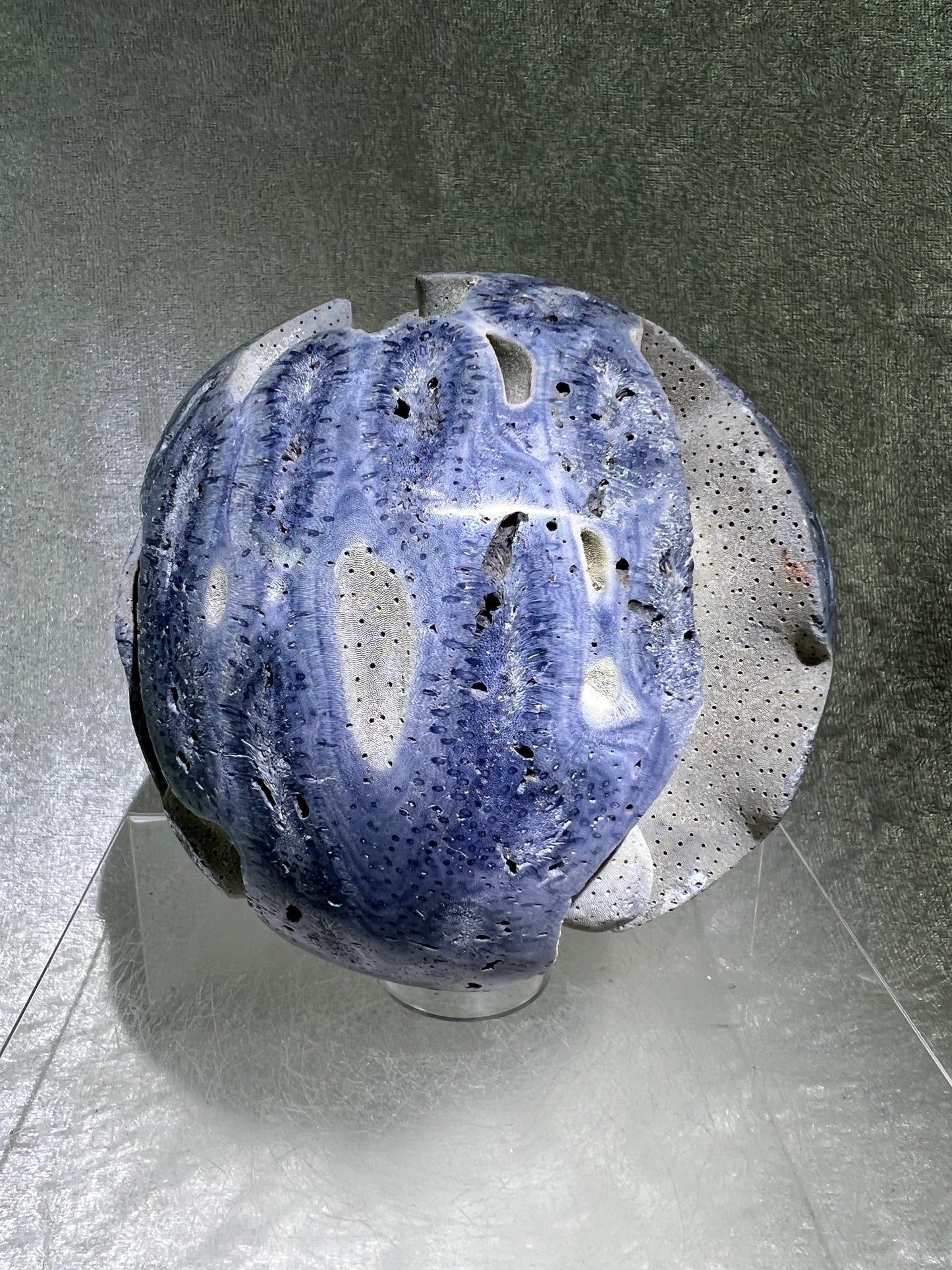 Blue Coral Sphere. Huge 108mm! Amazing Fossilized Heliopora Coerulea. Gorgeous Blue Ridge Coral Centerpiece Display Sphere