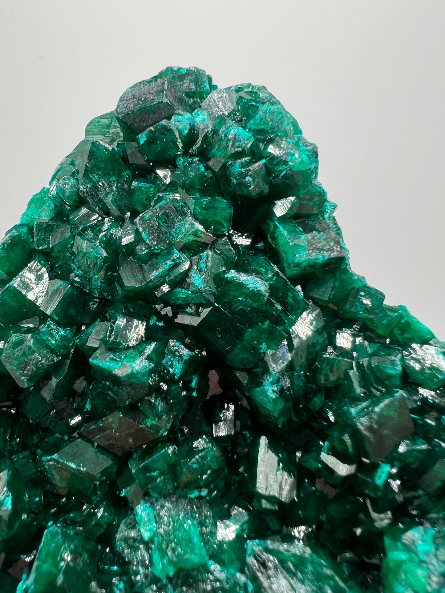 Dioptase Crystal Specimen. High Quality Mineral From The Congo. Gorgeous Colors And Cubes.