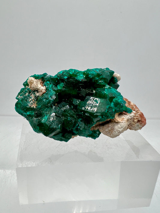 Dioptase Crystal Specimen. Gorgeous Rare Mineral From The Congo. High Quality Display Crystal