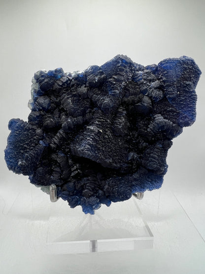 Blueberry Fluorite Crystal Specimen. Stunning Deep Dark Colors. Blueberry On Fluorite Cubes Matrix