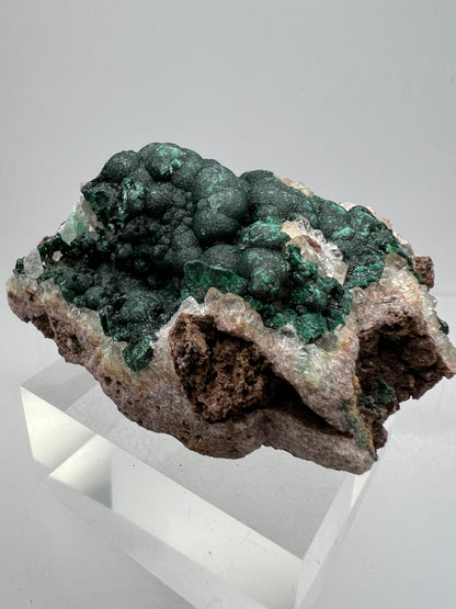 Ball Malachite On A Druzy Quartz And Dolomite Matrix. Rare Beautiful Specimen From Congo.