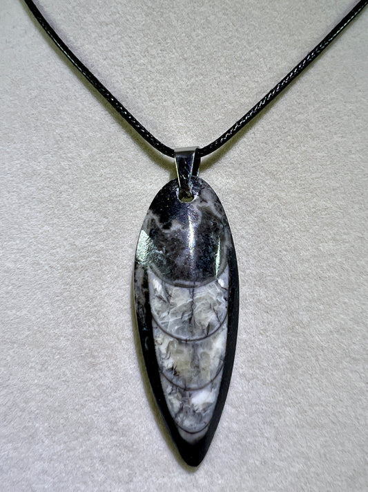 Fossil Pendant From Morocco. Amazing Orthoceras Fossil Necklace
