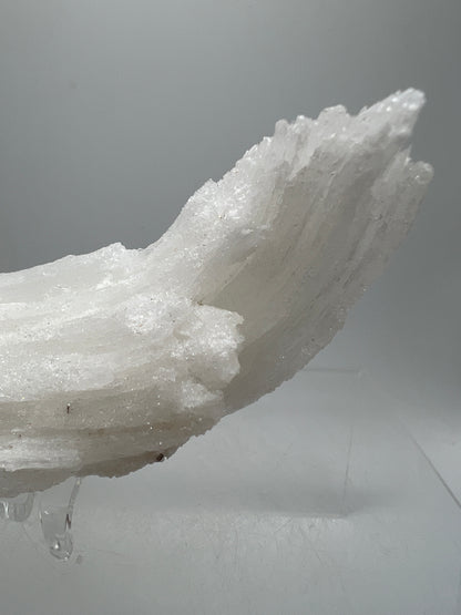 Rams Horn Selenite Specimen. Rare Satin Spar Gypsum Crystal From Mexico.