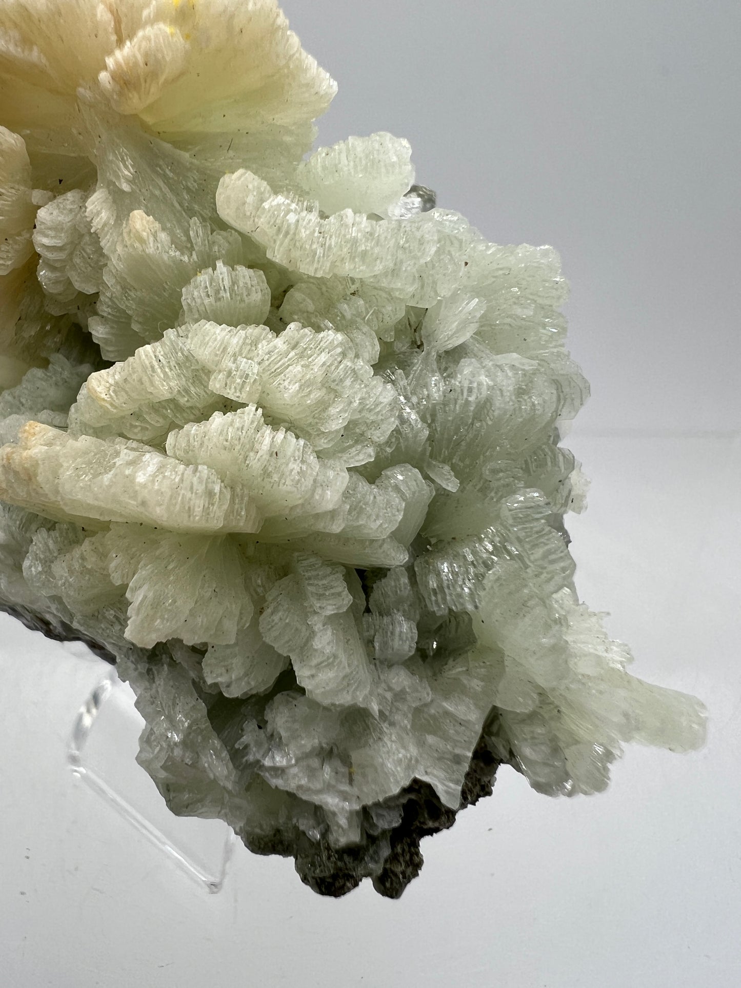 Prehnite Specimen From Morocco. Stunning Light Green Crystal Clusters. Gorgeous Mineral Display