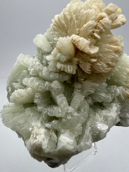 Prehnite Specimen From Morocco. Stunning Light Green Crystal Clusters. Gorgeous Mineral Display