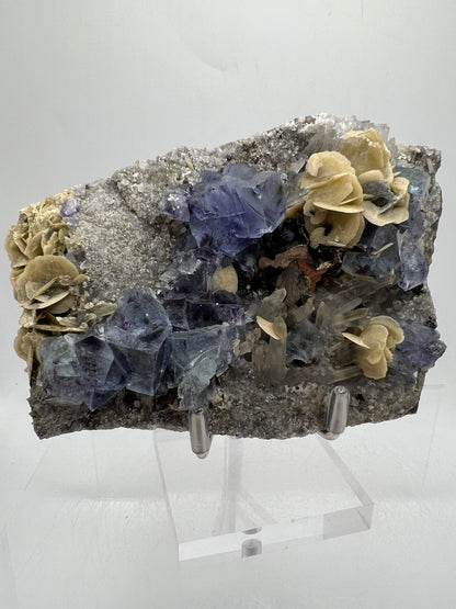 Fluorite, Muscovite, Pyrite, And Quartz Specimen. World Famous Yaogangxian Fluorite Cubes. High Quality Mixed Mineral Display Specimen.