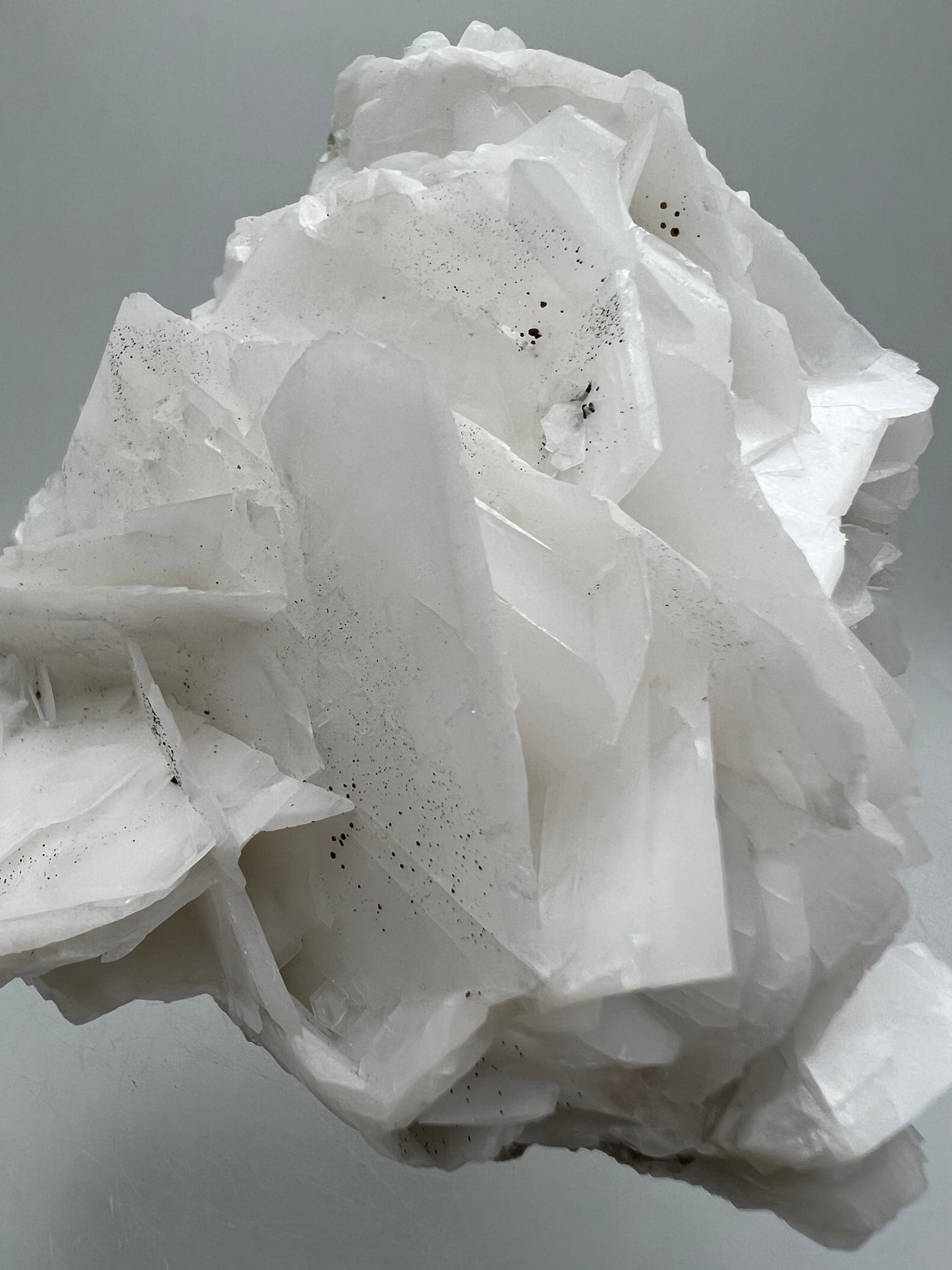 White Rose Bladed Calcite. Stunning Angel Calcite Specimen. High Quality Display Calcite.