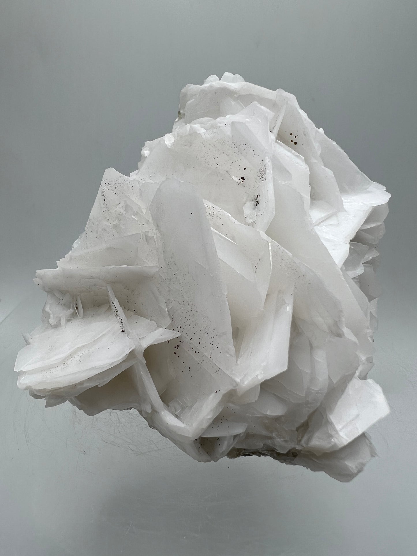 White Rose Bladed Calcite. Stunning Angel Calcite Specimen. High Quality Display Calcite.