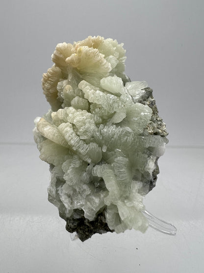 Prehnite Specimen From Morocco. Stunning Light Green Crystal Clusters. Gorgeous Mineral Display