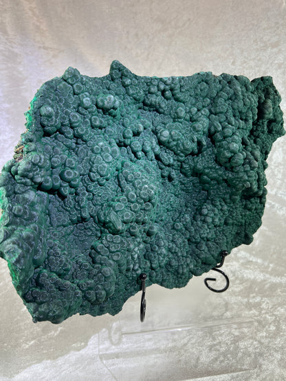 Malachite Museum Quality Specimen. Huge Velvet Malachite Plate. One Of A Kind Specimen From The Congo.