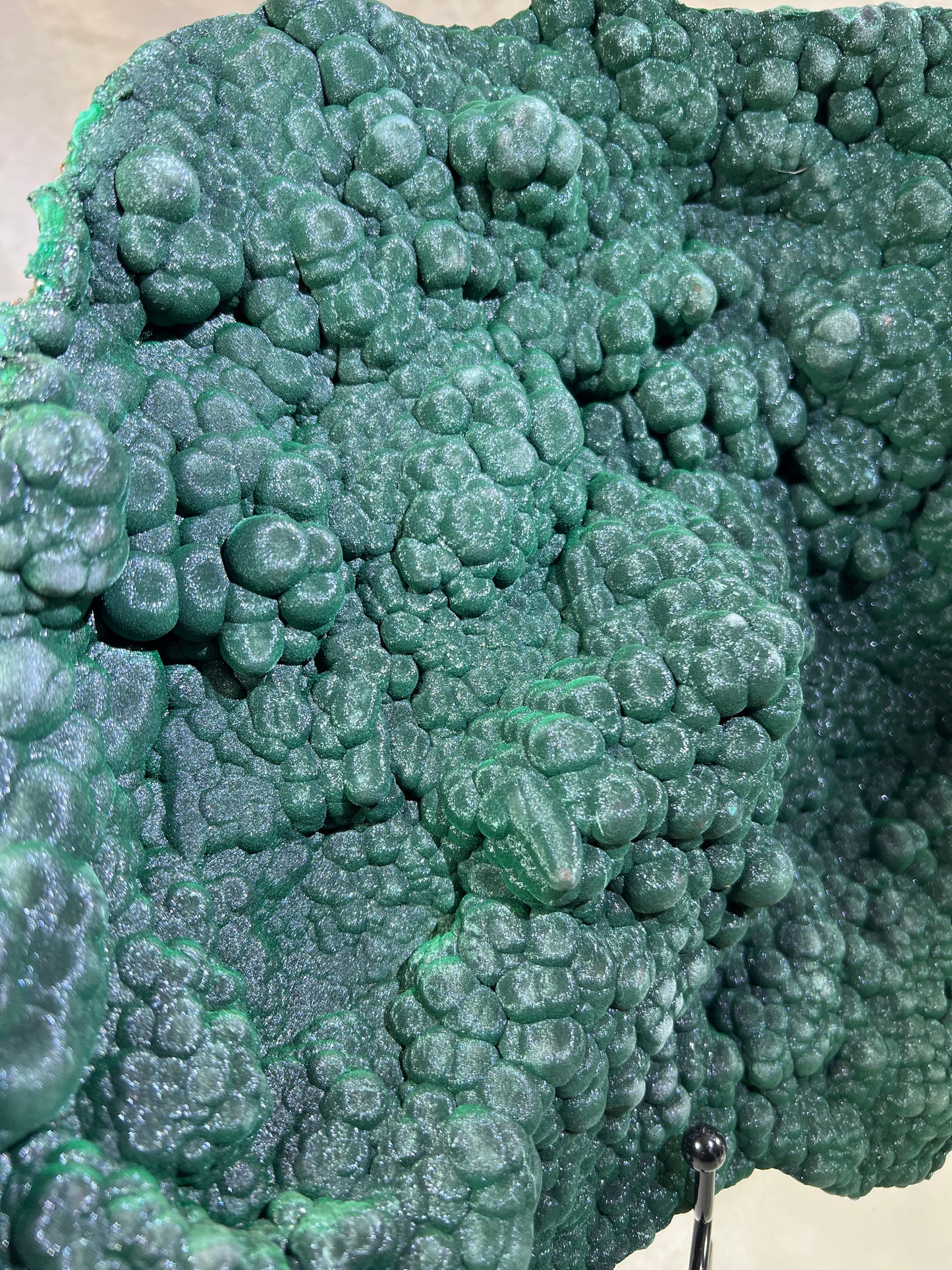 Malachite Museum Quality Specimen. Huge Velvet Malachite Plate. One Of A Kind Specimen From The Congo.