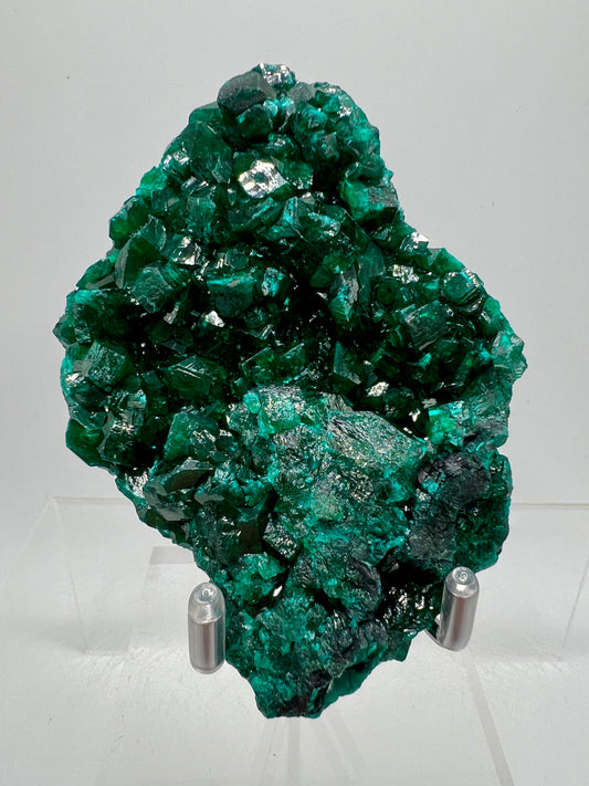 Dioptase Crystal Specimen. High Quality Mineral From The Congo. Gorgeous Colors And Cubes.