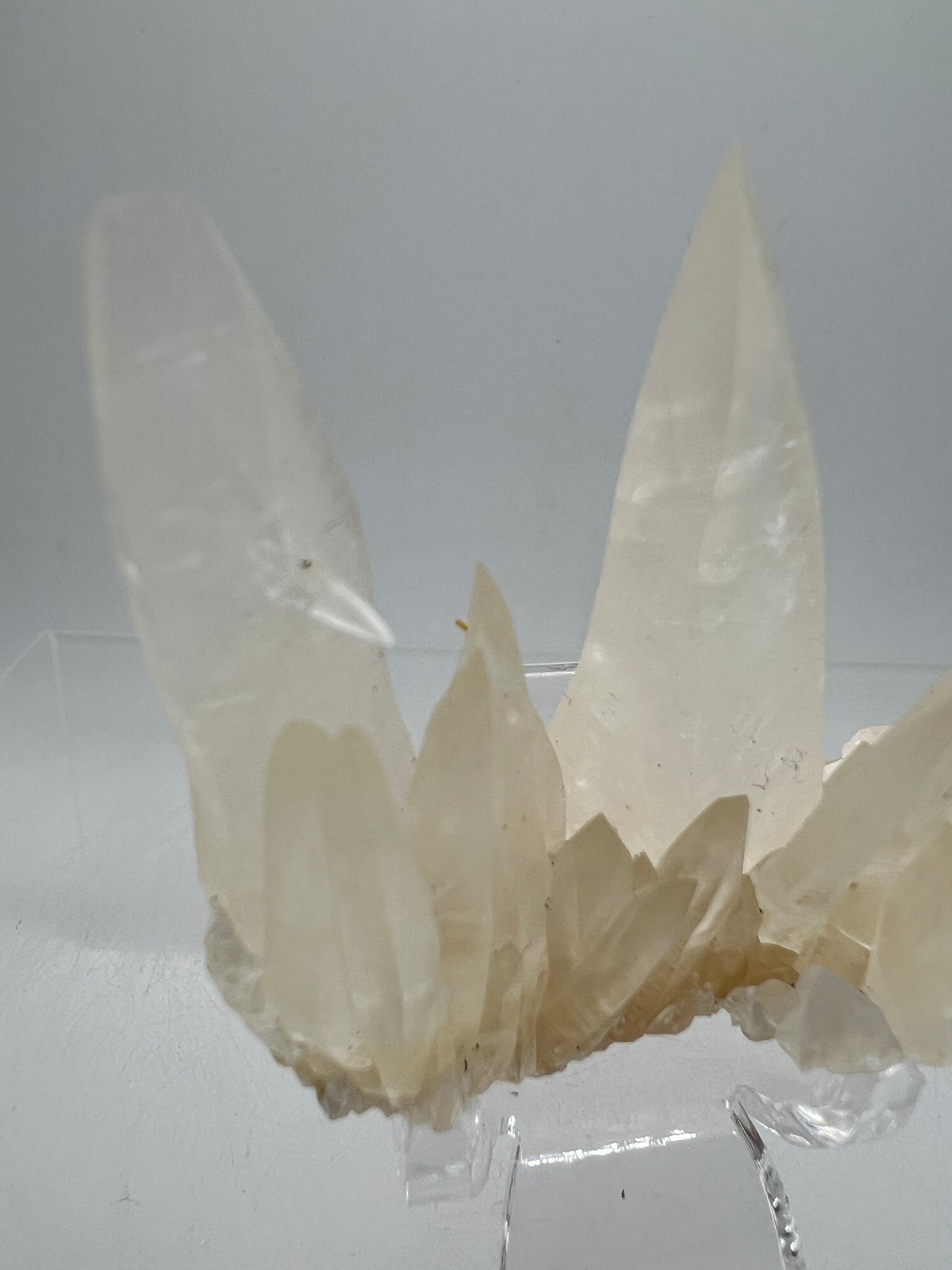 Dogtooth Calcite Specimen. Incredible Sharp Spiked Calcite. Very Unique Crystal Cluster.