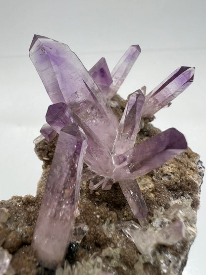 Veracruz Amethyst Display Cluster. Gorgeous Deep Purple High Quality Specimen. World Famous Rare Amethyst