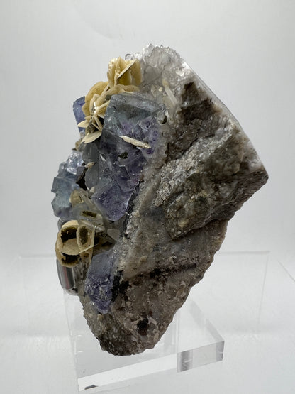 Fluorite, Muscovite, Pyrite, And Quartz Specimen. World Famous Yaogangxian Fluorite Cubes. High Quality Mixed Mineral Display Specimen.