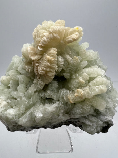 Prehnite Specimen From Morocco. Stunning Light Green Crystal Clusters. Gorgeous Mineral Display