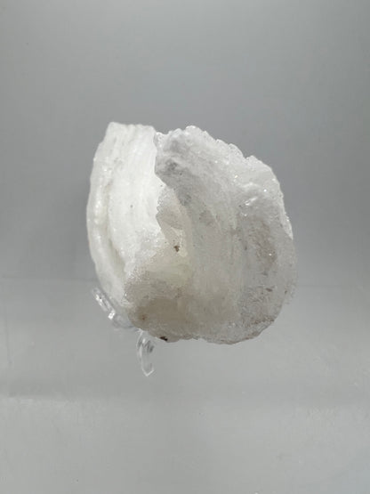 Rams Horn Selenite Specimen. Rare Satin Spar Gypsum Crystal From Mexico.