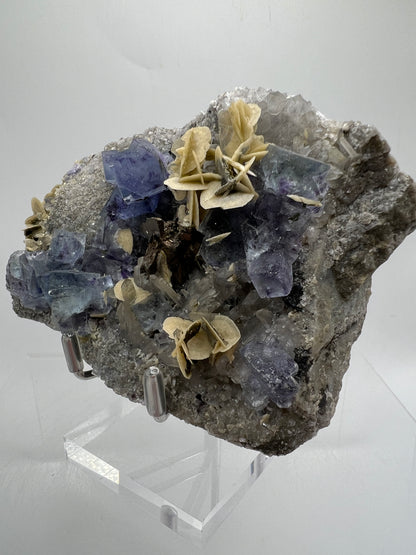 Fluorite, Muscovite, Pyrite, And Quartz Specimen. World Famous Yaogangxian Fluorite Cubes. High Quality Mixed Mineral Display Specimen.