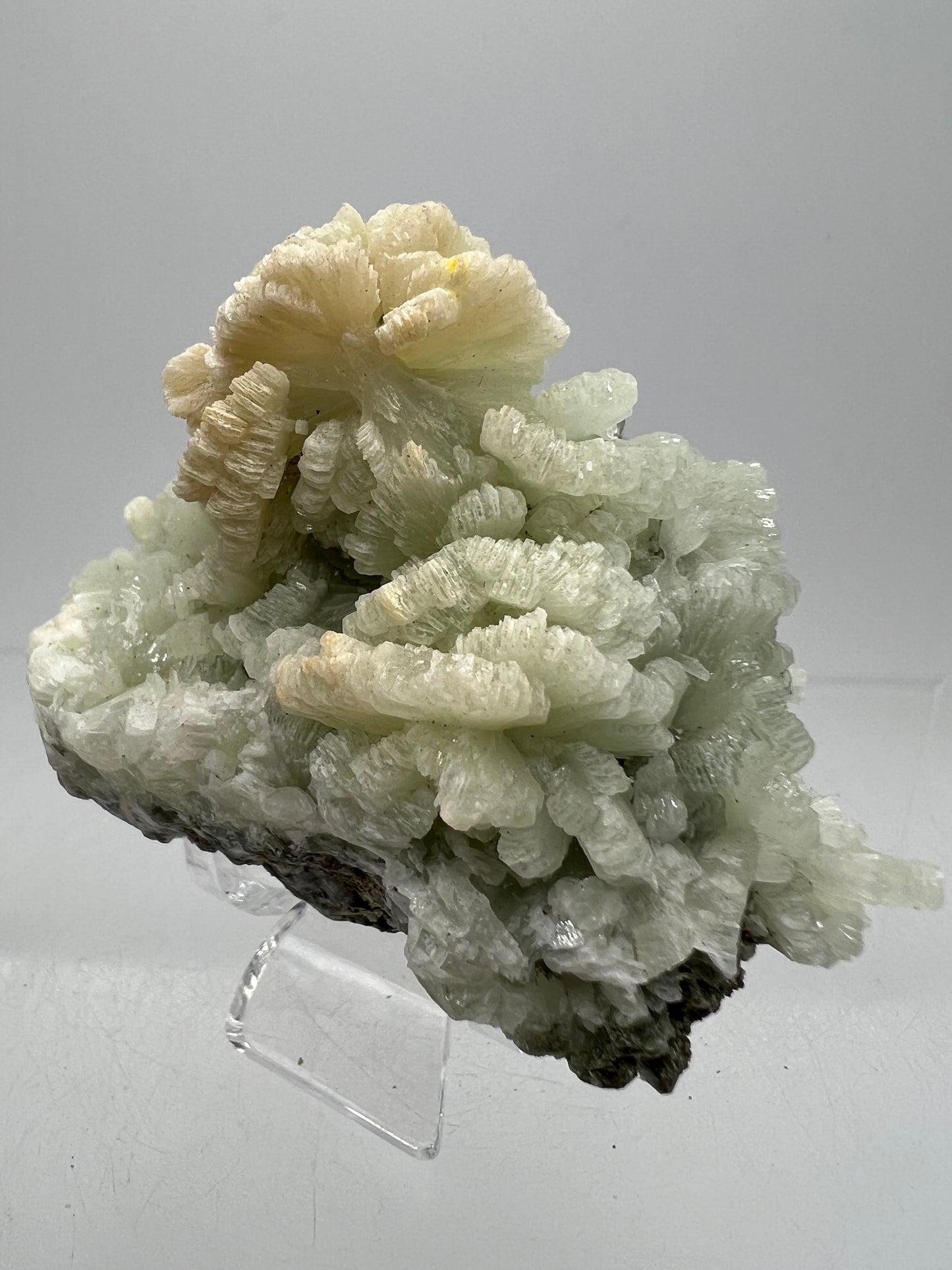 Prehnite Specimen From Morocco. Stunning Light Green Crystal Clusters. Gorgeous Mineral Display