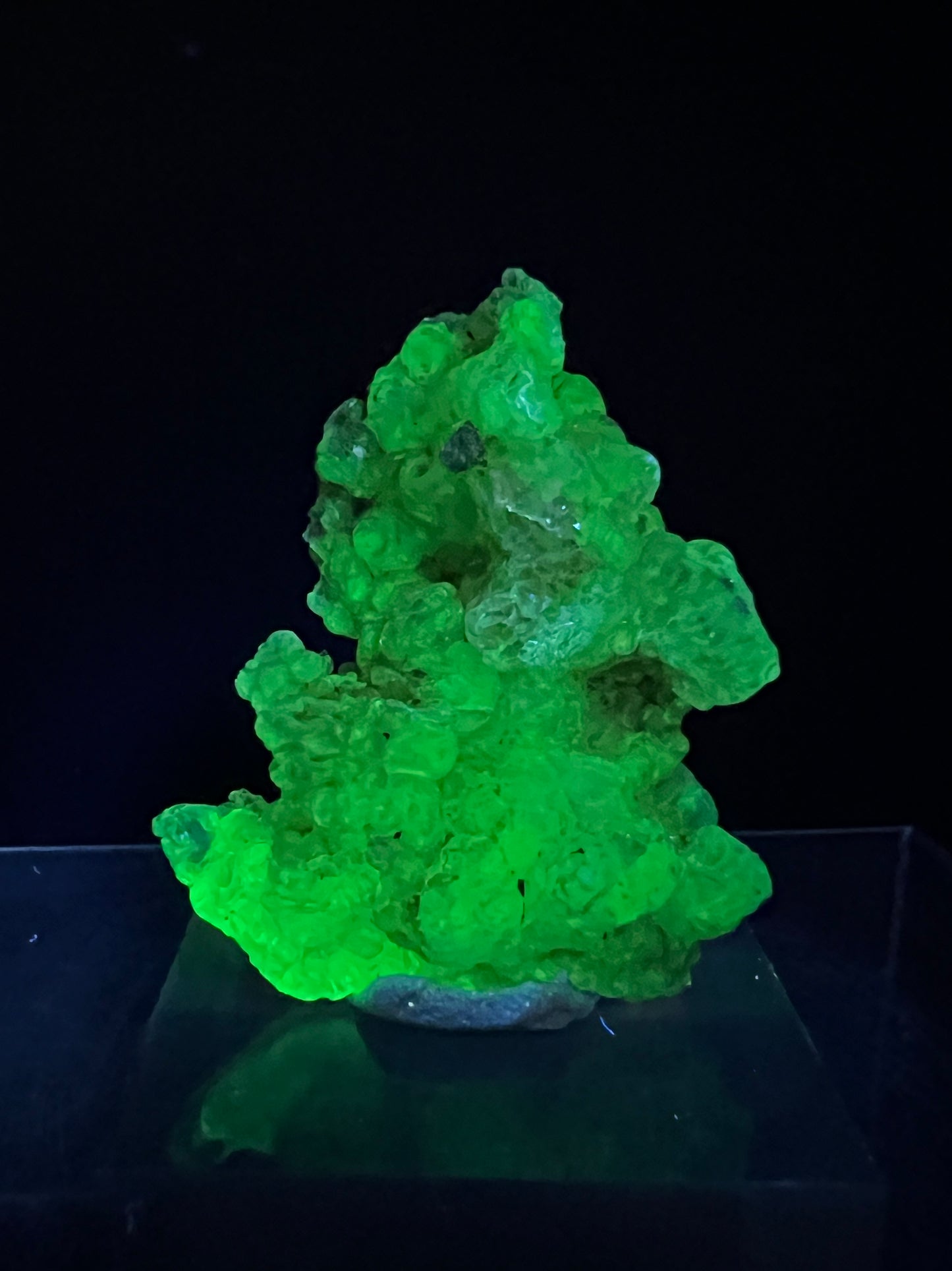 Hyalite Opal Specimen. Gorgeous UV Reactive Display Crystal From Mexico. Stunning Colors And Botryoidal Crystals.