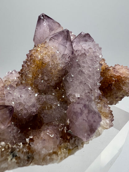 Spirit Quartz Cluster. Amazing Colors With Limonite Inclusions. Beautiful Ametrine Cactus Quartz, Fairy Quartz From South Africa.