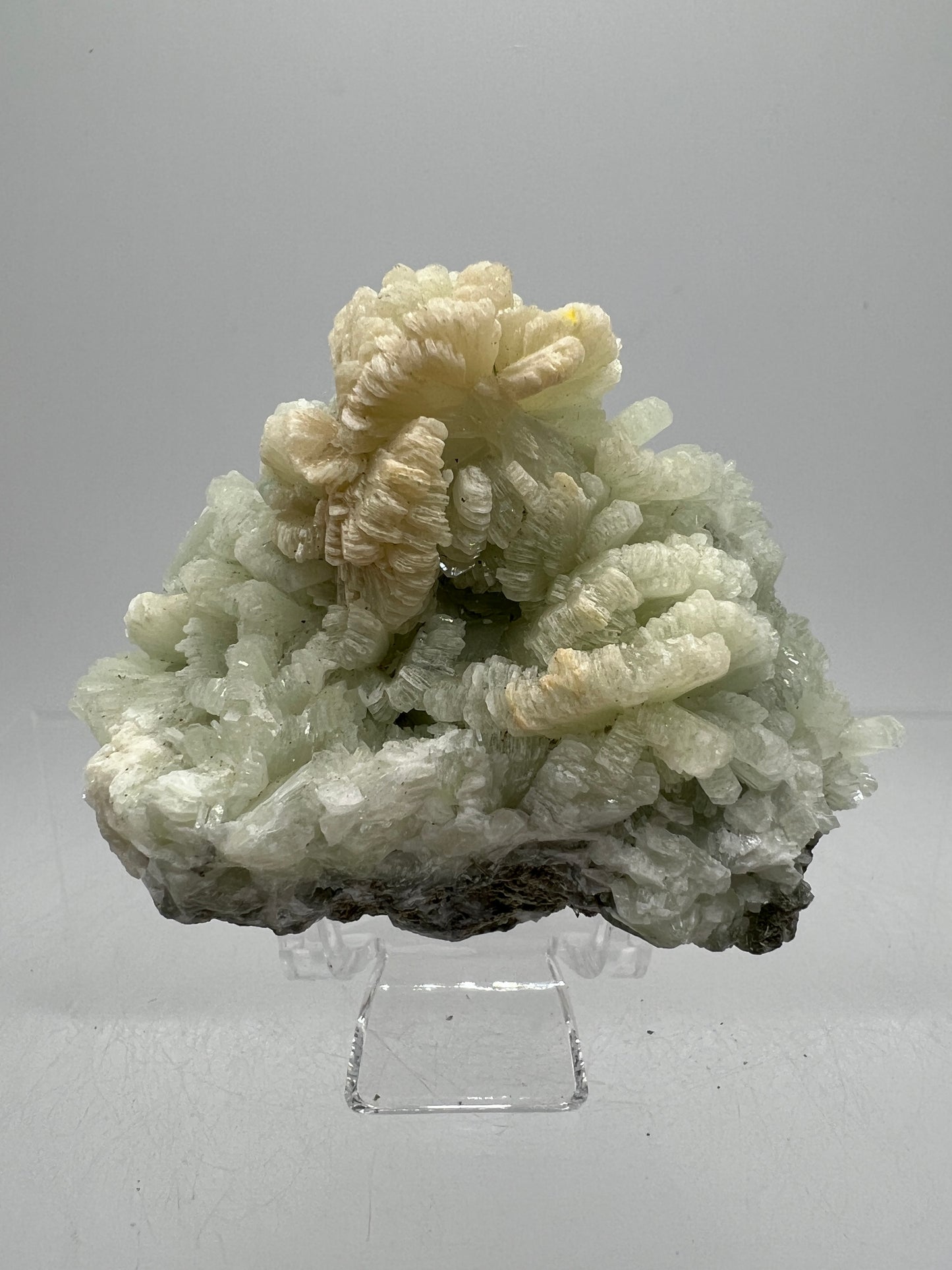 Prehnite Specimen From Morocco. Stunning Light Green Crystal Clusters. Gorgeous Mineral Display