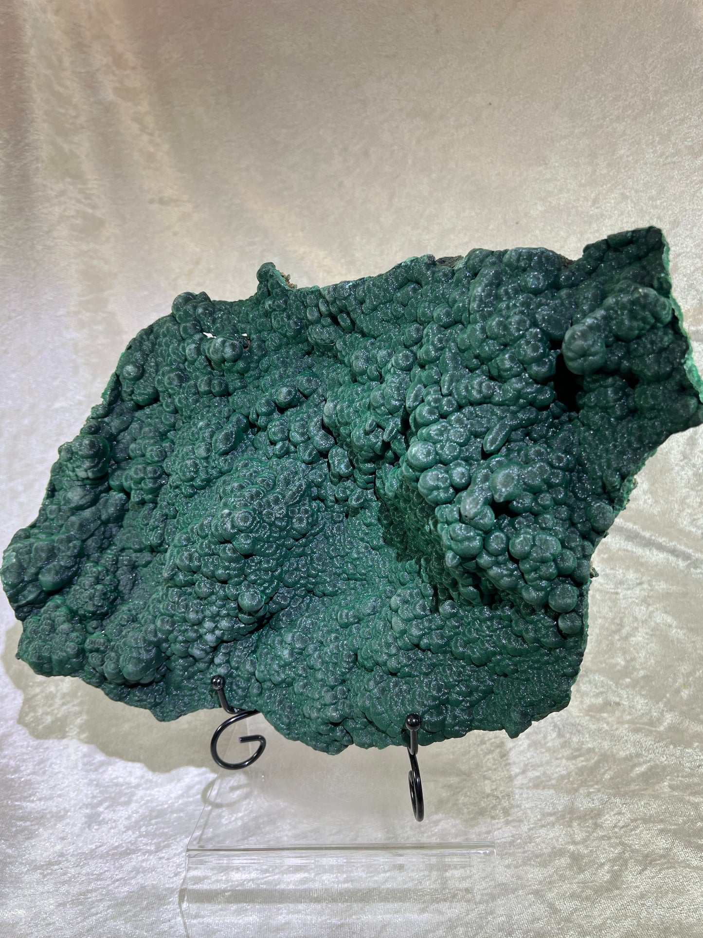 Malachite Museum Quality Specimen. Huge Velvet Malachite Plate. One Of A Kind Specimen From The Congo.