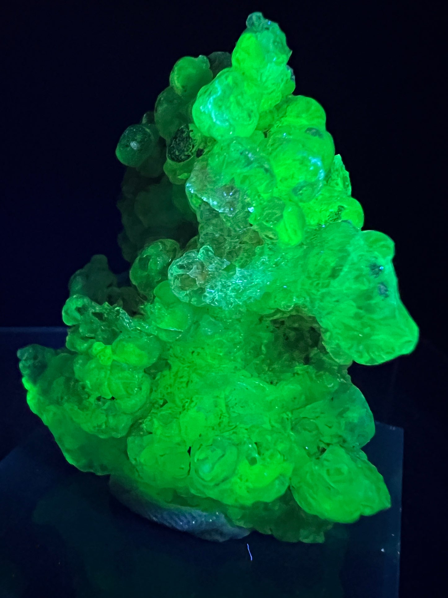 Hyalite Opal Specimen. Gorgeous UV Reactive Display Crystal From Mexico. Stunning Colors And Botryoidal Crystals.