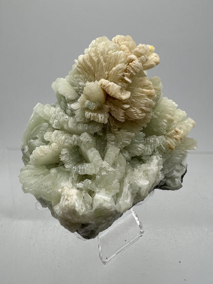 Prehnite Specimen From Morocco. Stunning Light Green Crystal Clusters. Gorgeous Mineral Display