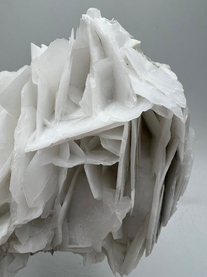 White Rose Bladed Calcite. Stunning Angel Calcite Specimen. High Quality Display Calcite.