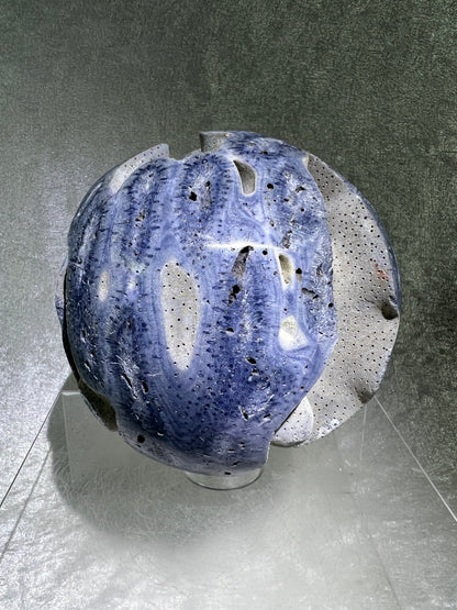 Blue Coral Sphere. Huge 108mm! Amazing Fossilized Heliopora Coerulea. Gorgeous Blue Ridge Coral Centerpiece Display Sphere