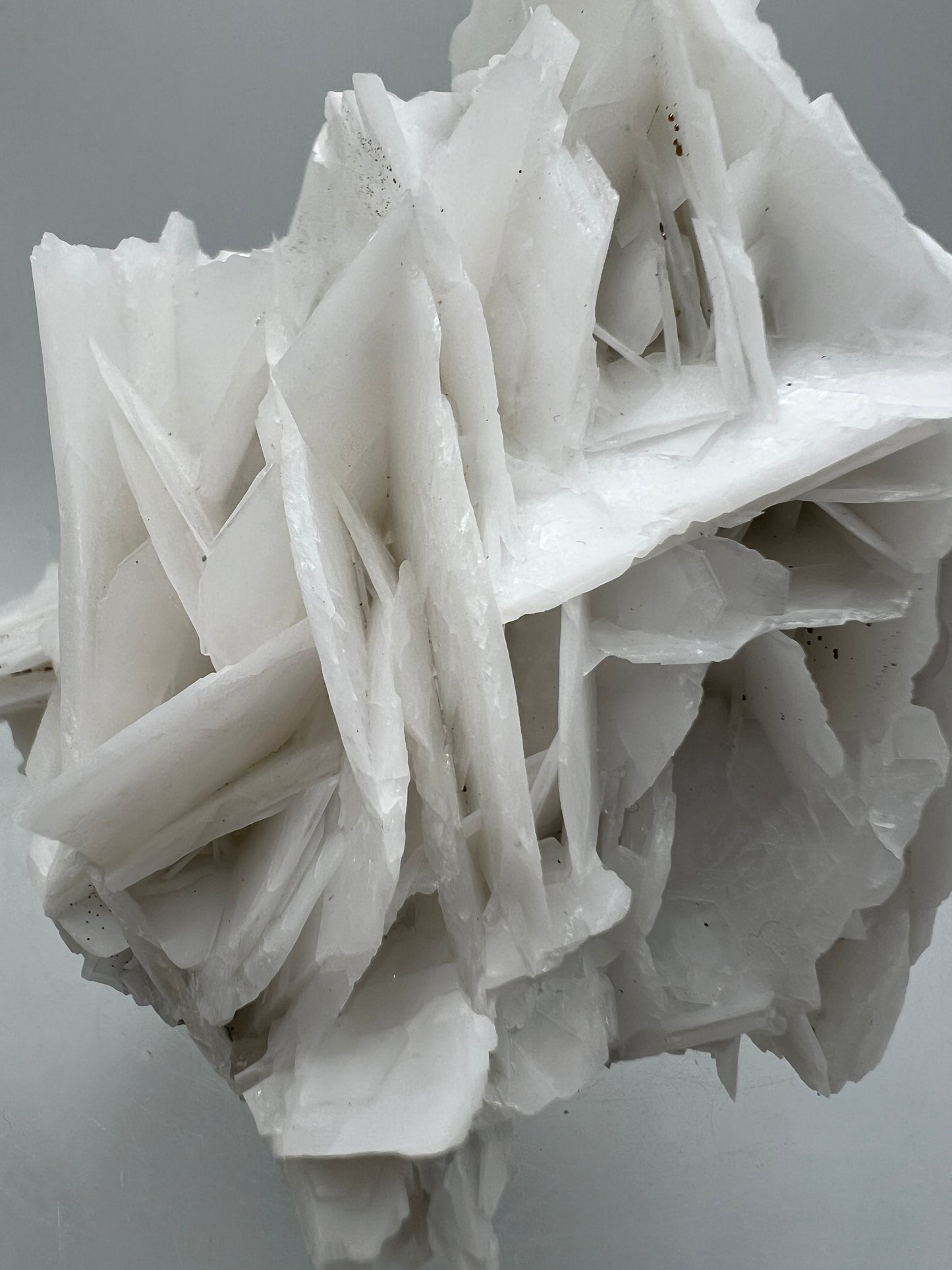 White Rose Bladed Calcite. Stunning Angel Calcite Specimen. High Quality Display Calcite.