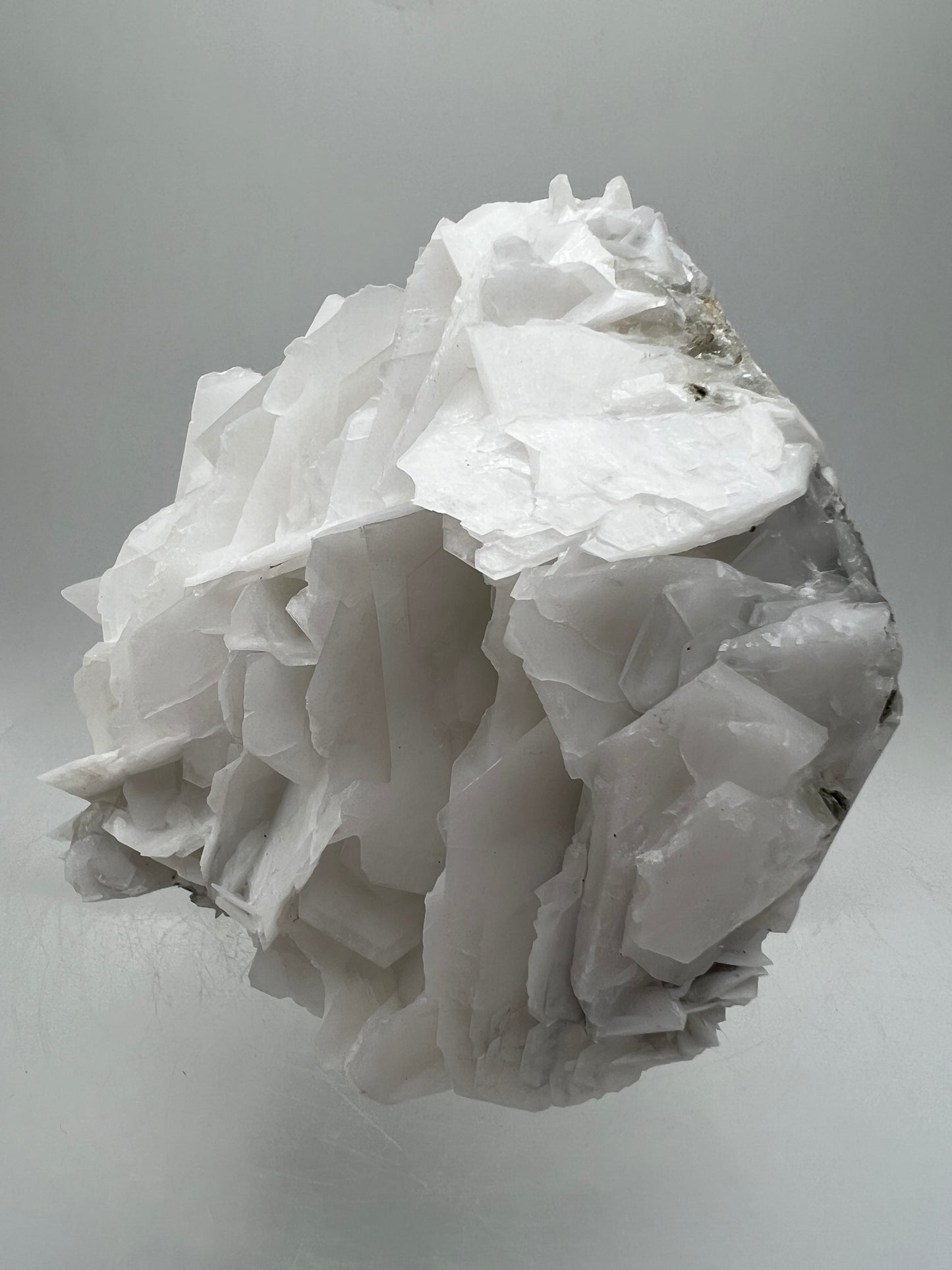 White Rose Bladed Calcite. Stunning Angel Calcite Specimen. High Quality Display Calcite.