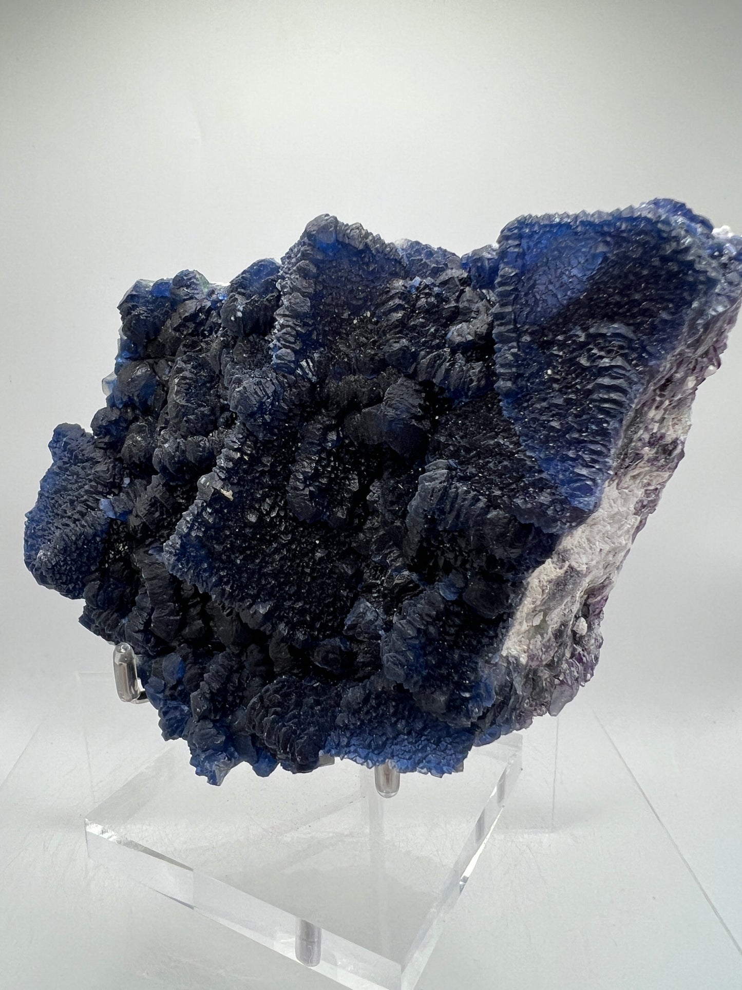 Blueberry Fluorite Crystal Specimen. Stunning Deep Dark Colors. Blueberry On Fluorite Cubes Matrix