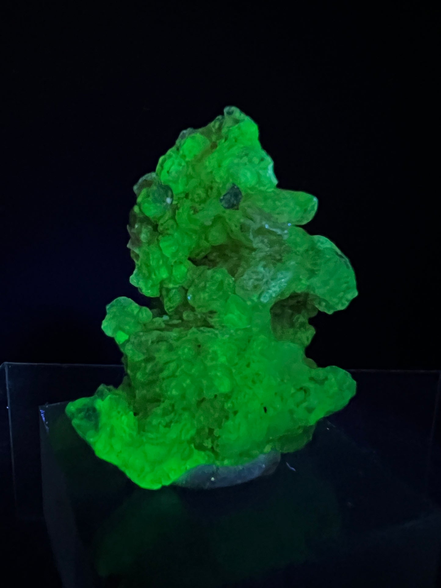 Hyalite Opal Specimen. Gorgeous UV Reactive Display Crystal From Mexico. Stunning Colors And Botryoidal Crystals.