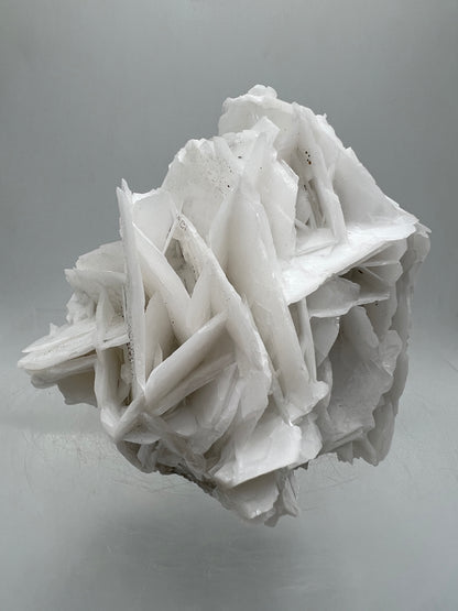 White Rose Bladed Calcite. Stunning Angel Calcite Specimen. High Quality Display Calcite.