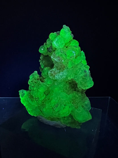 Hyalite Opal Specimen. Gorgeous UV Reactive Display Crystal From Mexico. Stunning Colors And Botryoidal Crystals.