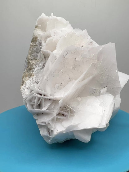 White Rose Bladed Calcite. Stunning Angel Calcite Specimen. High Quality Display Calcite.